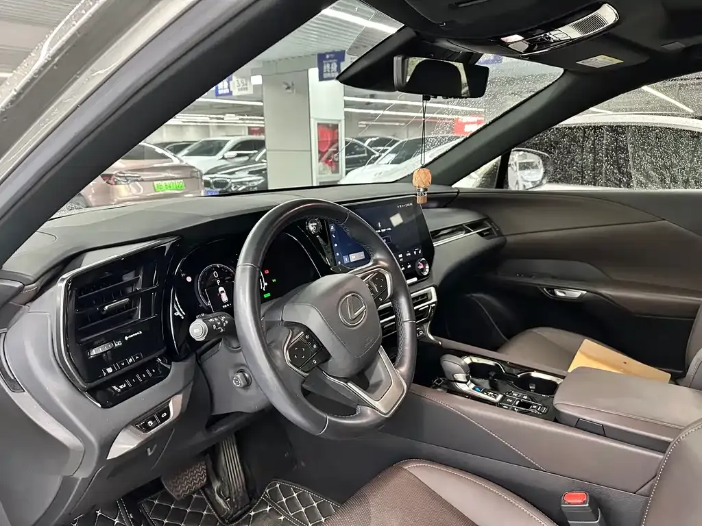 Lexus RX New Energy — фото 10
