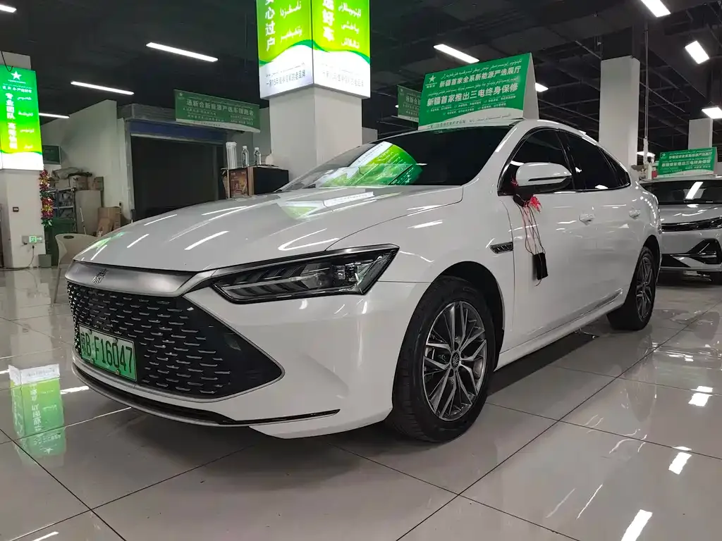 BYD Qin PLUS — фото 1
