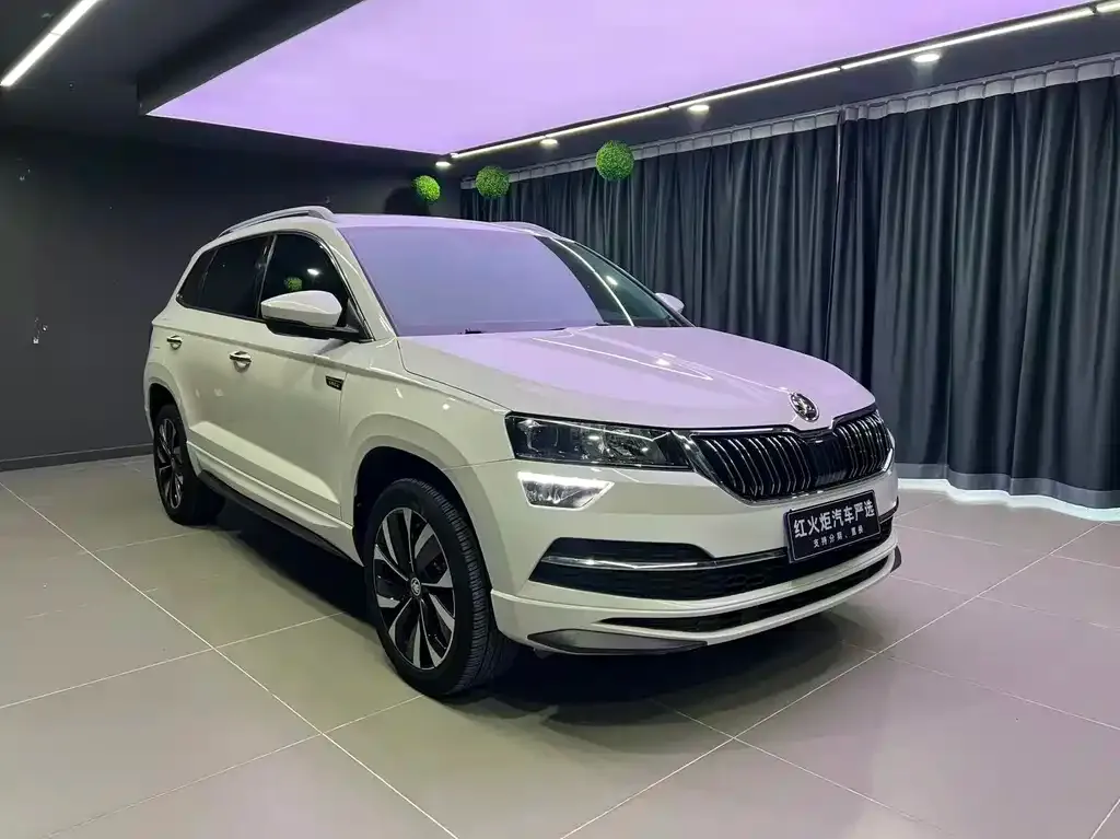 Skoda Karoq — фото 5