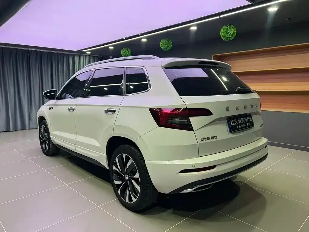 Skoda Karoq — фото 6