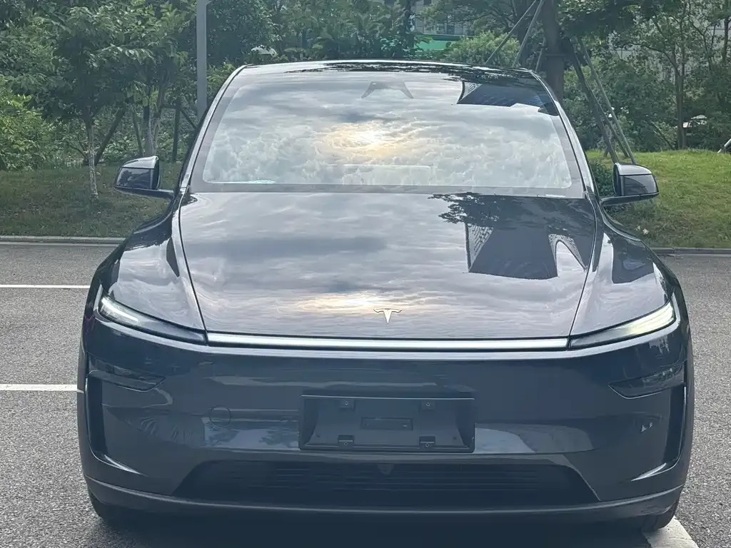 Tesla Model Y — фото 3