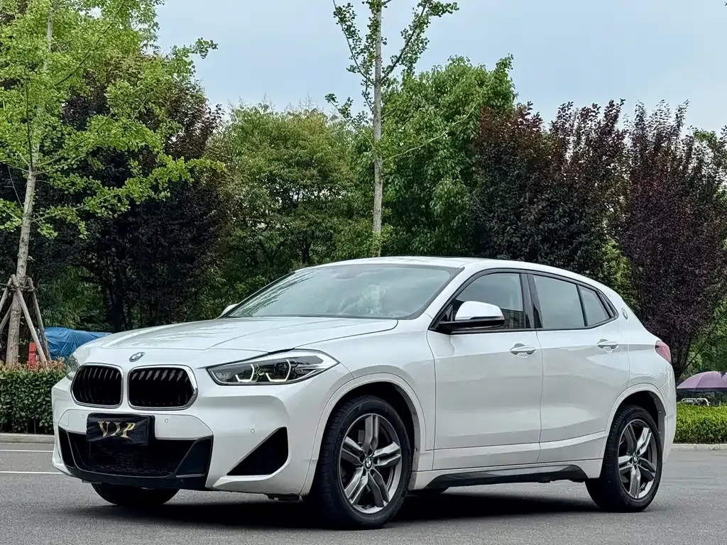 BMW X2 — фото 1