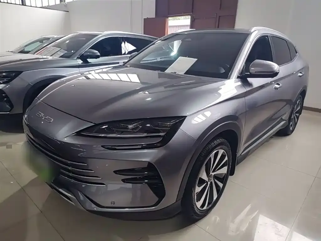 BYD PLUS New Energy — фото 1