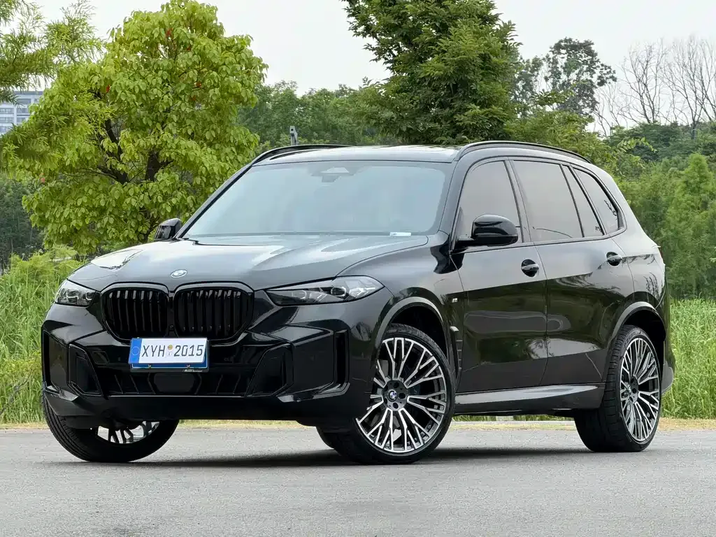 BMW X5 — фото 1