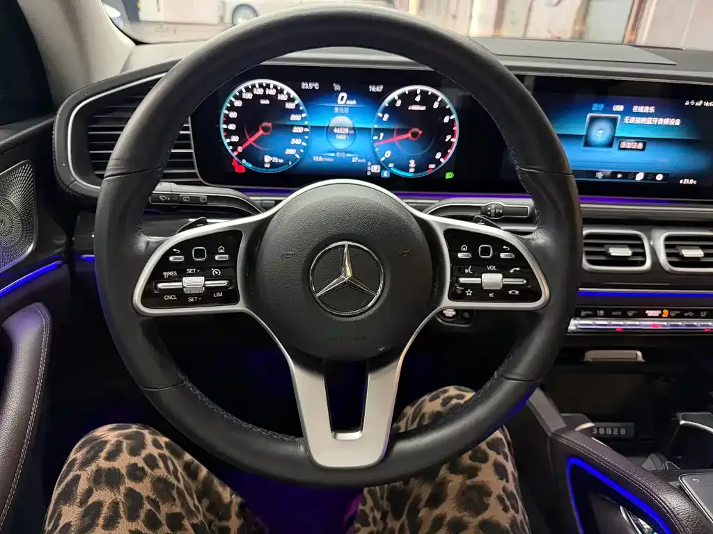 Mercedes-Benz 奔驰GLE(进口) — фото 5