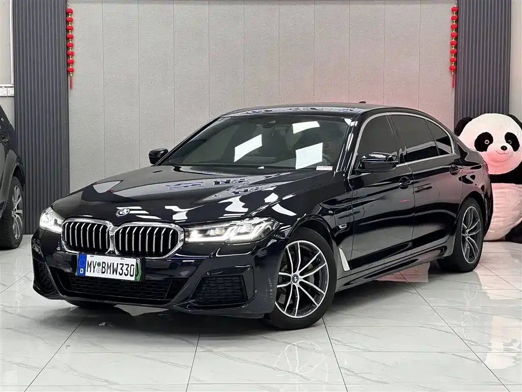 BMW 5 Series New Energy — фото 1