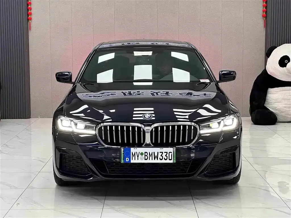 BMW 5 Series New Energy — фото 5