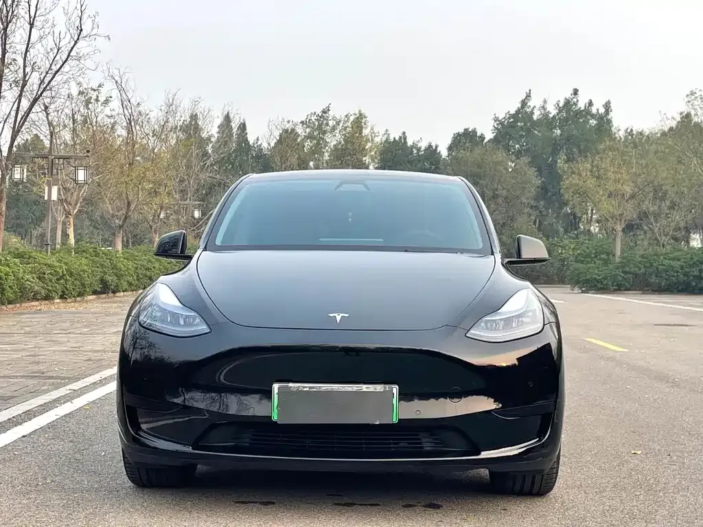 Tesla Model Y — фото 4