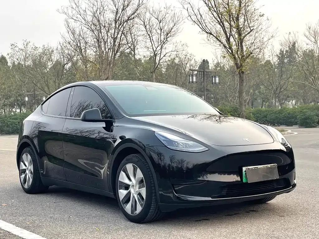 Tesla Model Y — фото 9