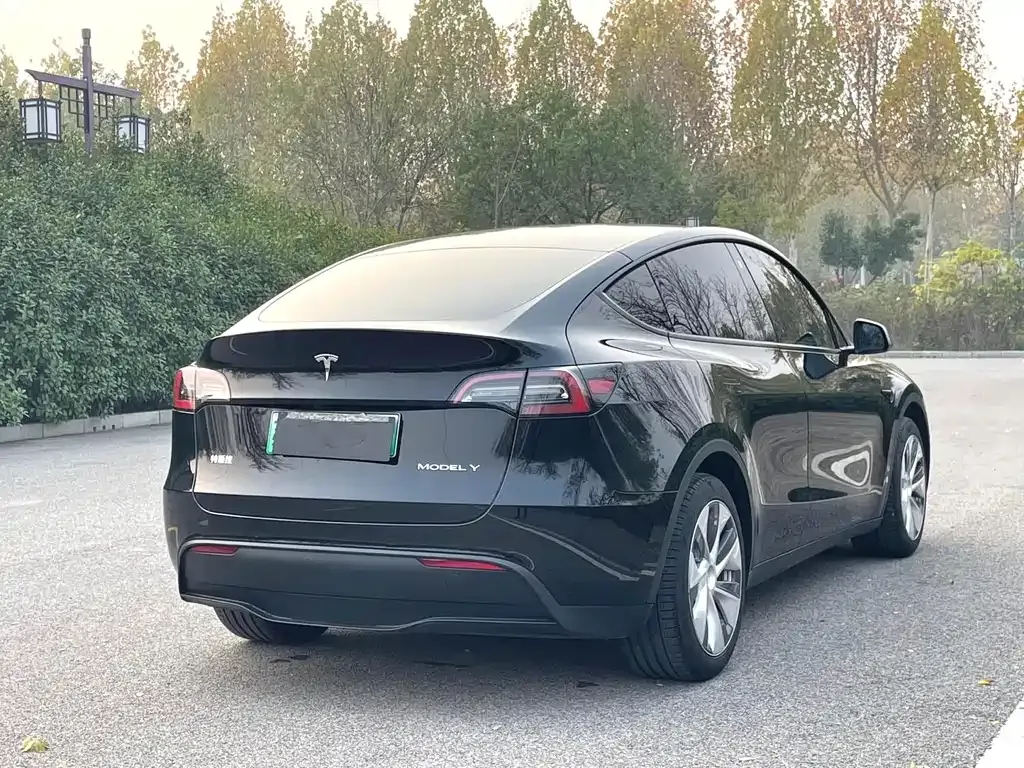 Tesla Model Y — фото 8