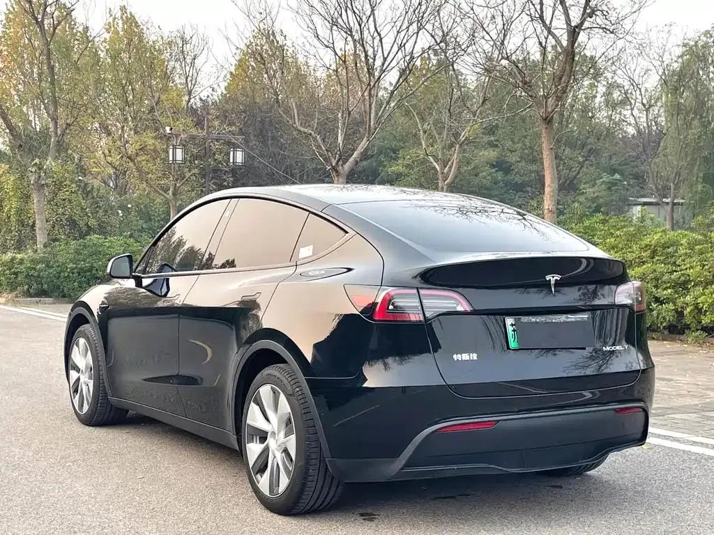 Tesla Model Y — фото 10