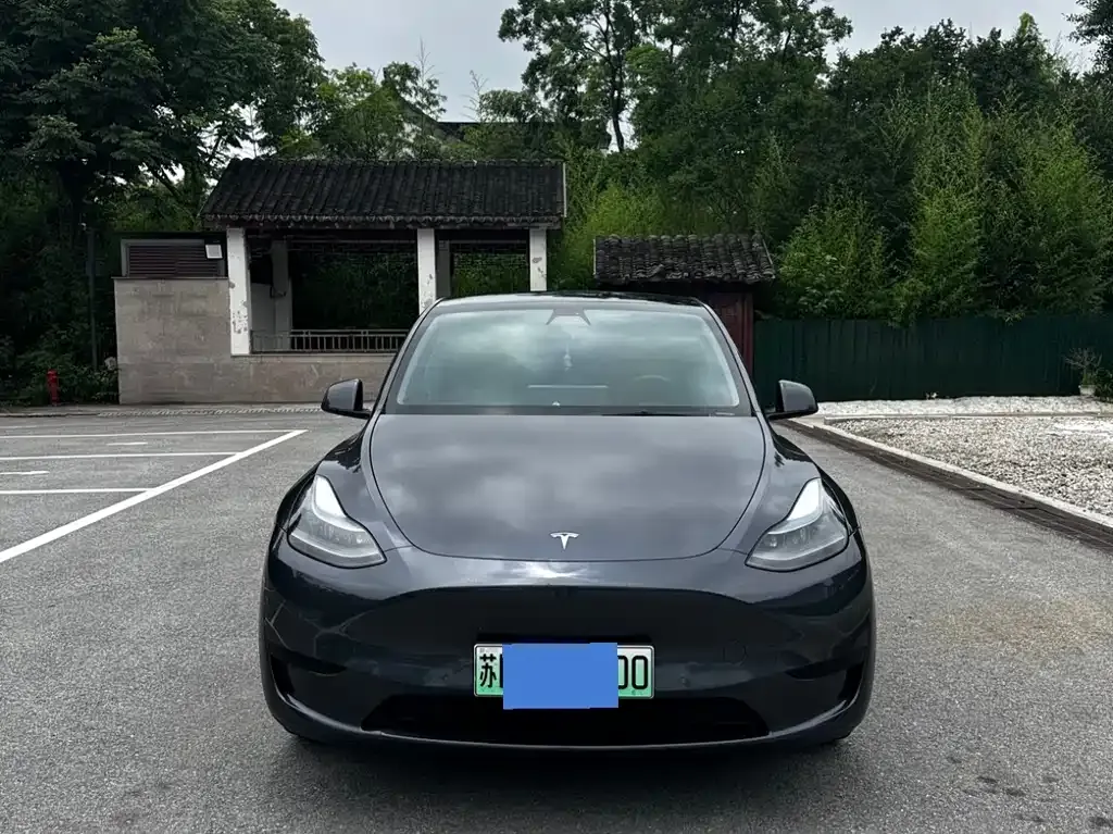 Tesla Model Y — фото 1