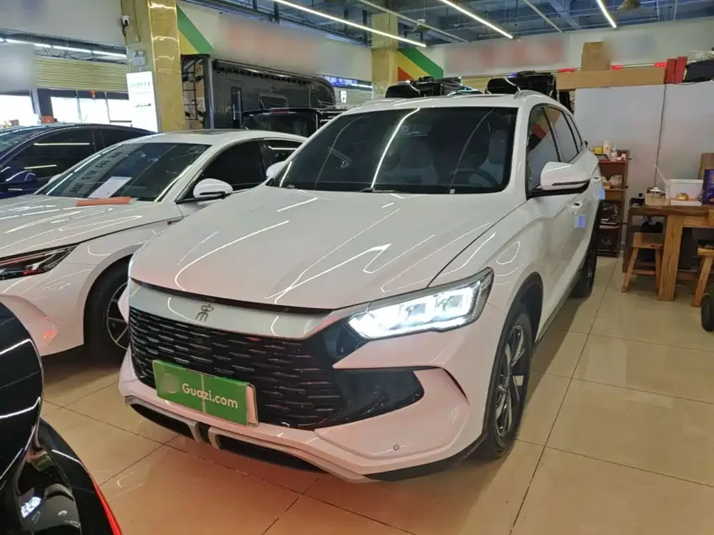 BYD Pro New Energy — фото 1