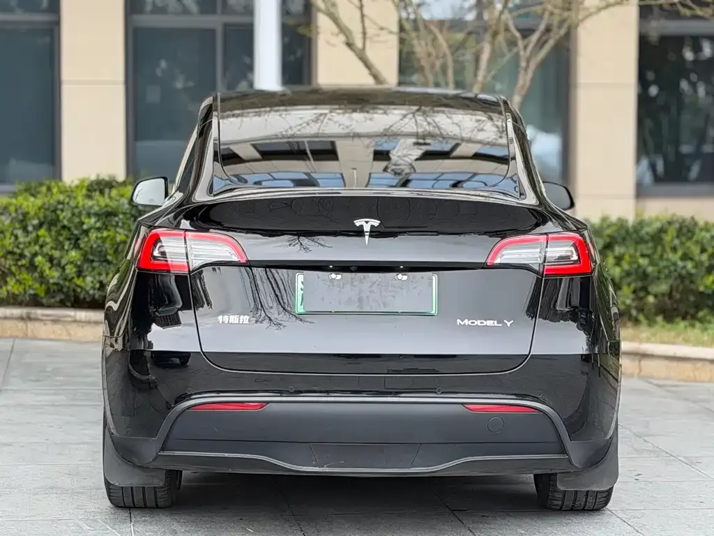 Tesla Model Y — фото 6