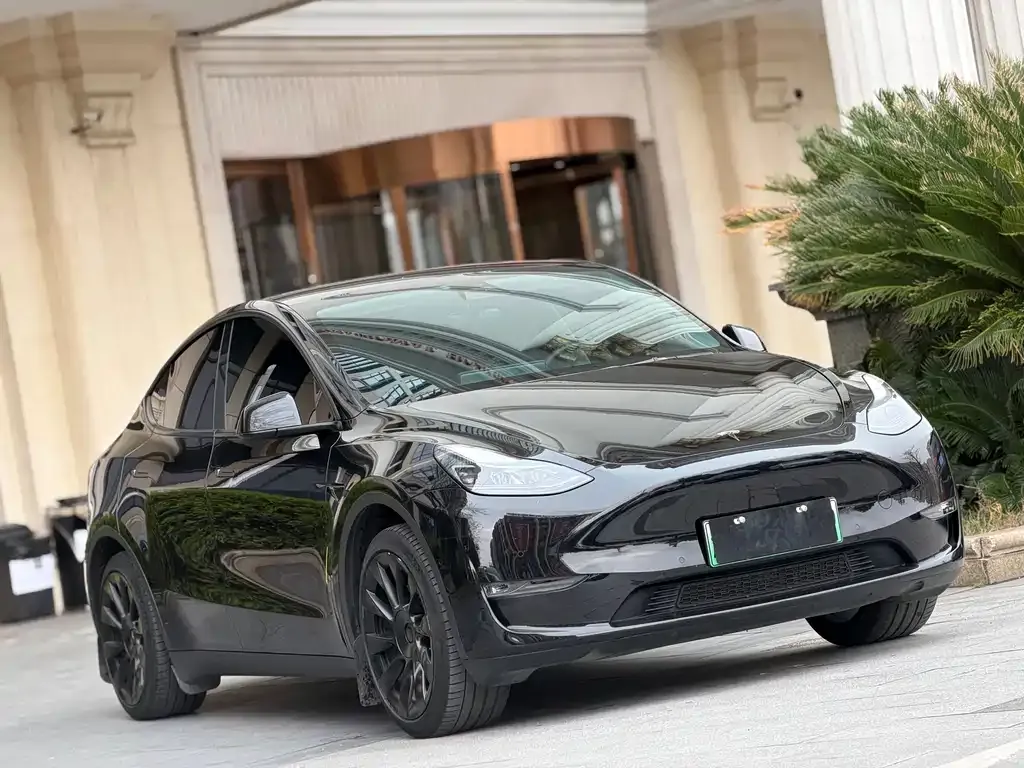 Tesla Model Y — фото 4
