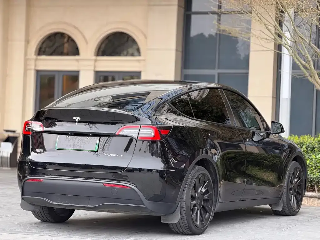 Tesla Model Y — фото 10