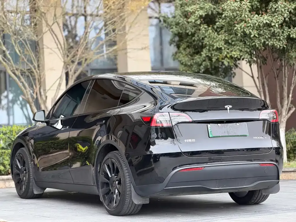 Tesla Model Y — фото 2