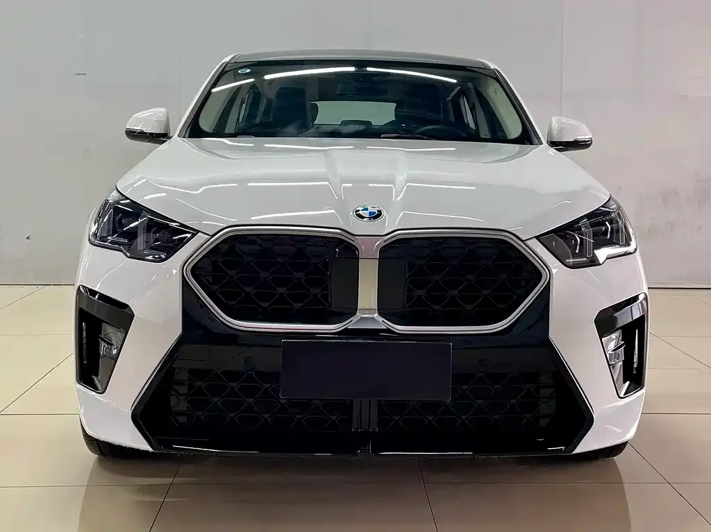 BMW X2 (Import) — фото 1