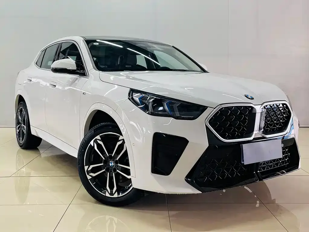 BMW X2 (Import) — фото 4