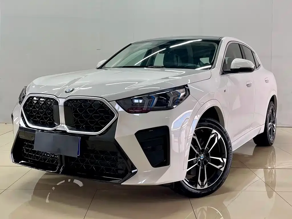 BMW X2 (Import) — фото 6