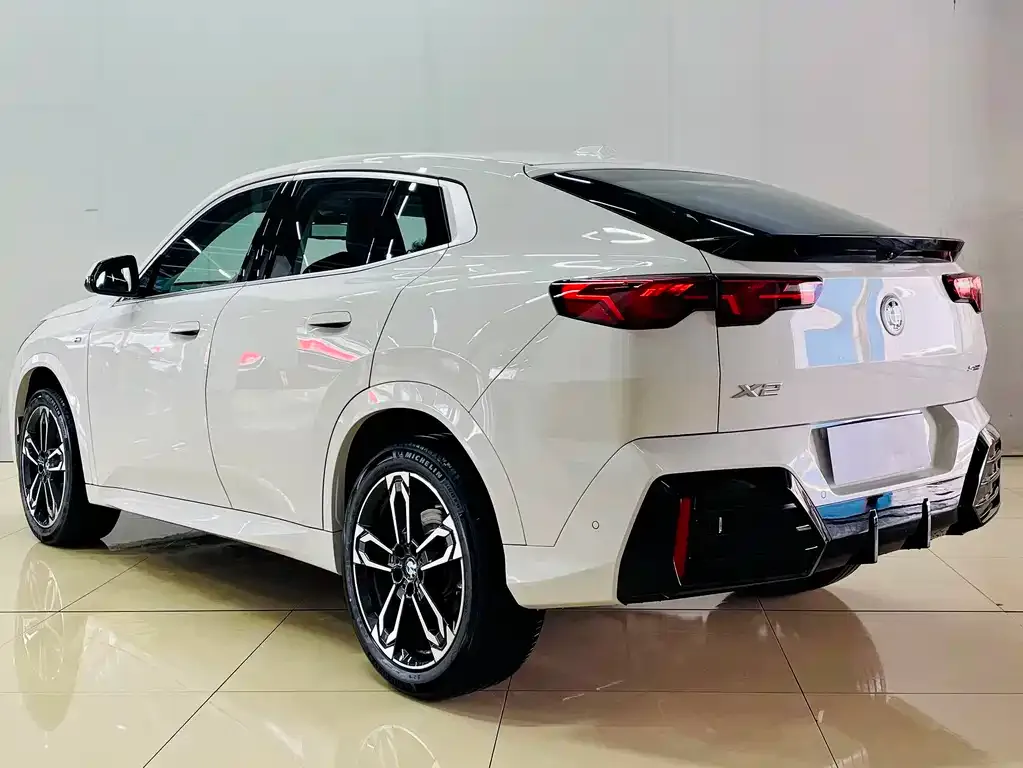 BMW X2 (Import) — фото 10