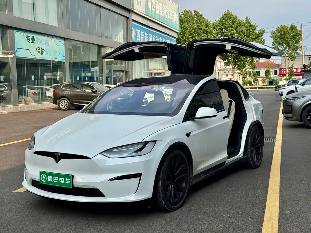 Tesla Model X — фото 1