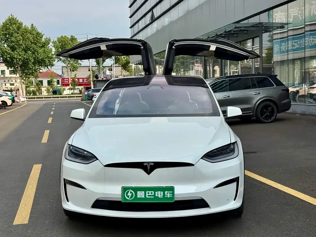 Tesla Model X — фото 6