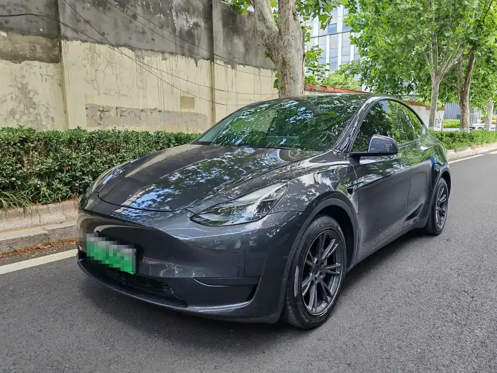 Tesla Model Y — фото 1