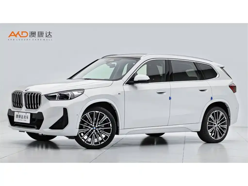 BMW X1 — фото 1