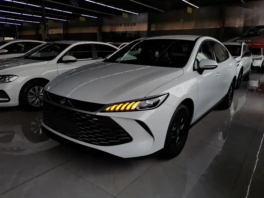 BYD Qin PLUS — фото 1