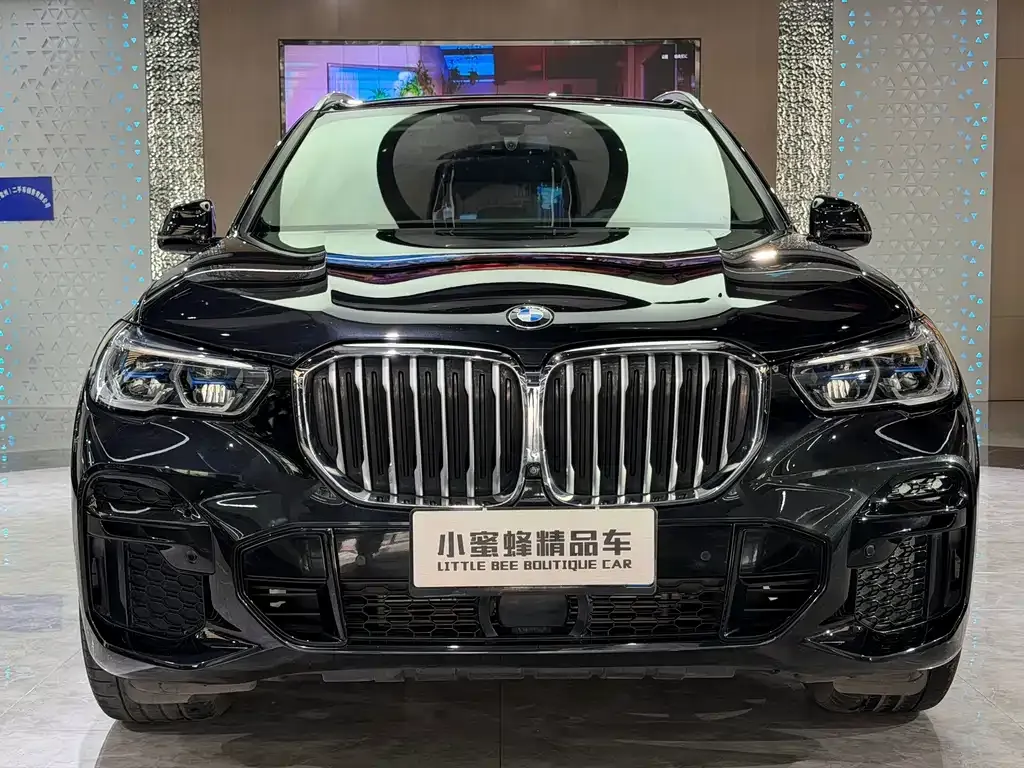 BMW X5 (Import) — фото 10