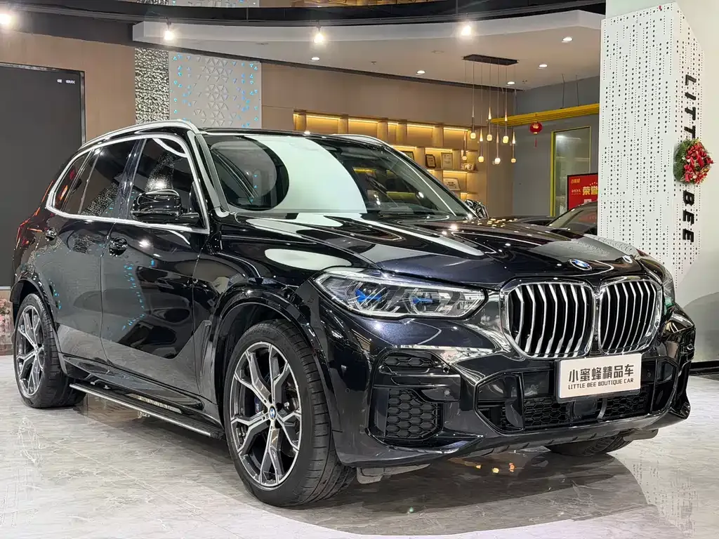 BMW X5 (Import) — фото 8