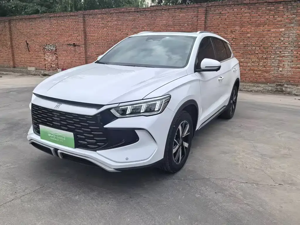 BYD Pro New Energy — фото 1