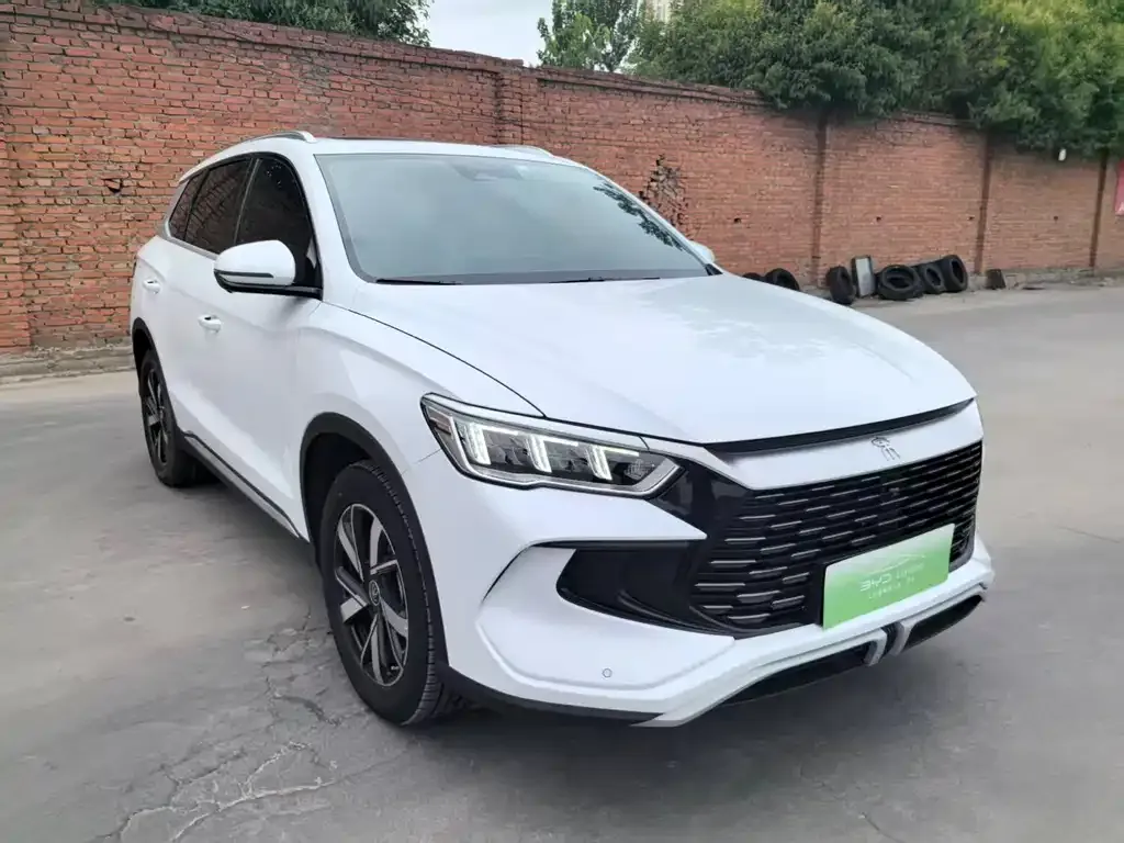 BYD Pro New Energy — фото 9