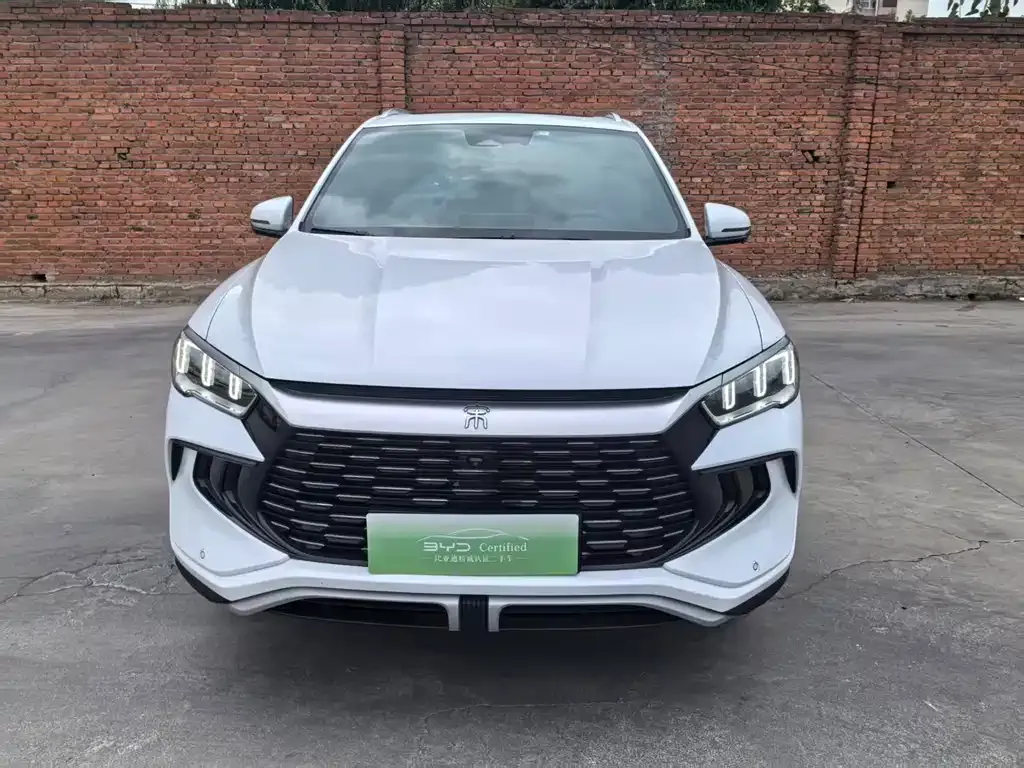 BYD Pro New Energy — фото 7