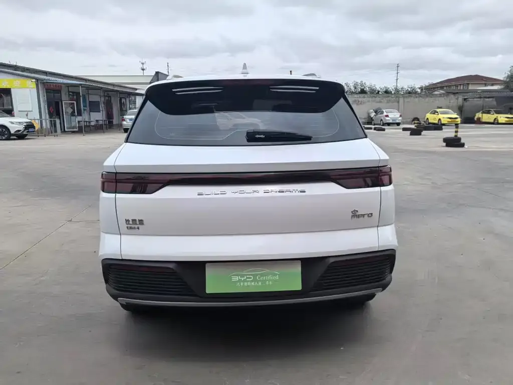 BYD Pro New Energy — фото 2