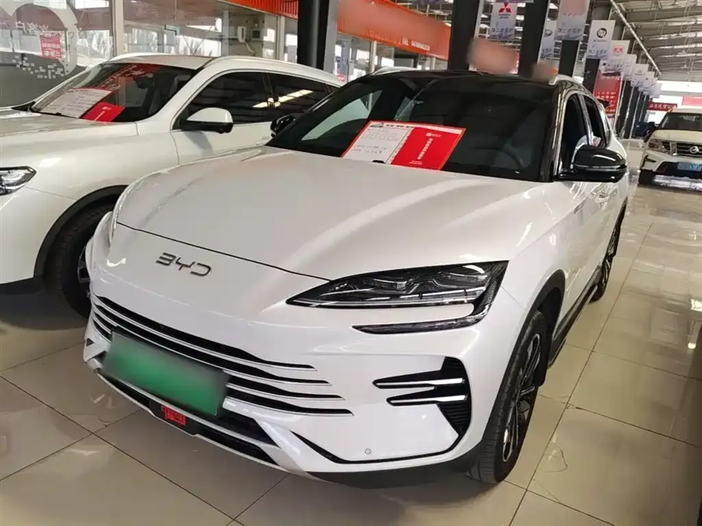 BYD PLUS New Energy — фото 1