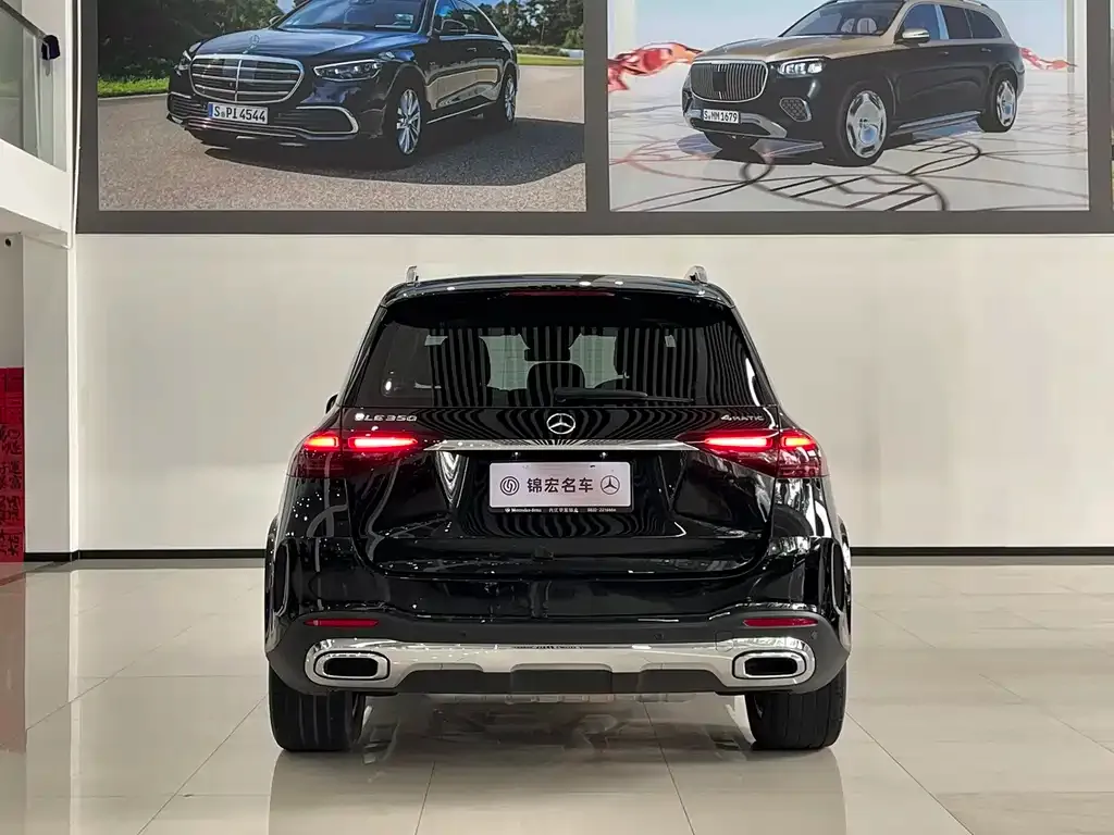 Mercedes-Benz 奔驰GLE(进口) — фото 3