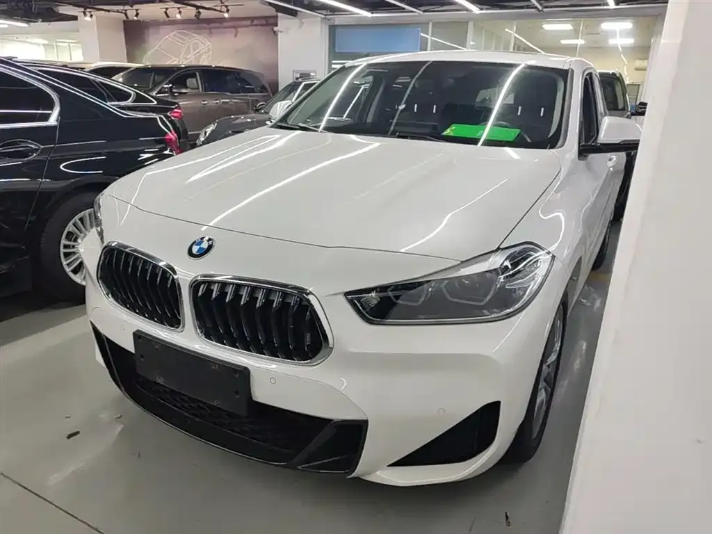 BMW X2 — фото 1