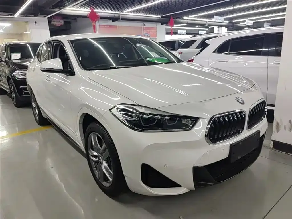 BMW X2 — фото 10