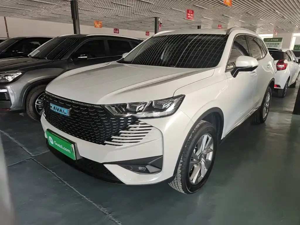 Haval H6 New Energy — фото 6