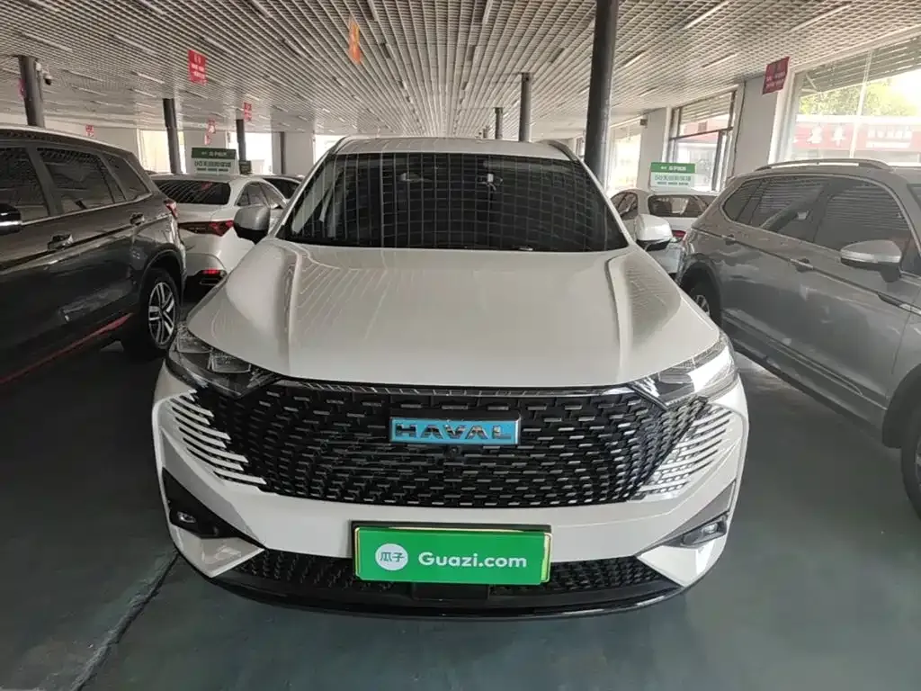 Haval H6 New Energy — фото 9