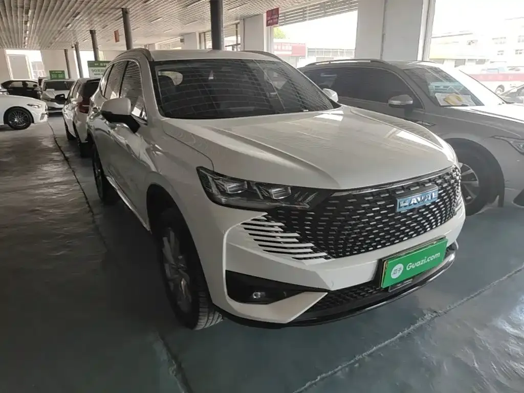 Haval H6 New Energy — фото 10