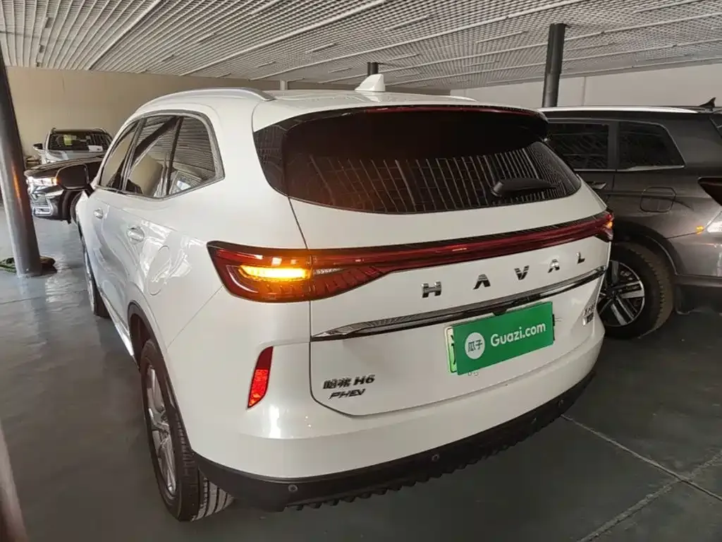 Haval H6 New Energy — фото 8