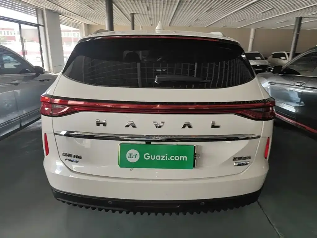 Haval H6 New Energy — фото 4