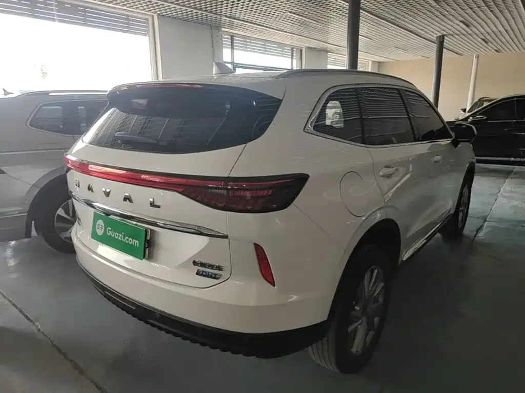 Haval H6 New Energy — фото 7
