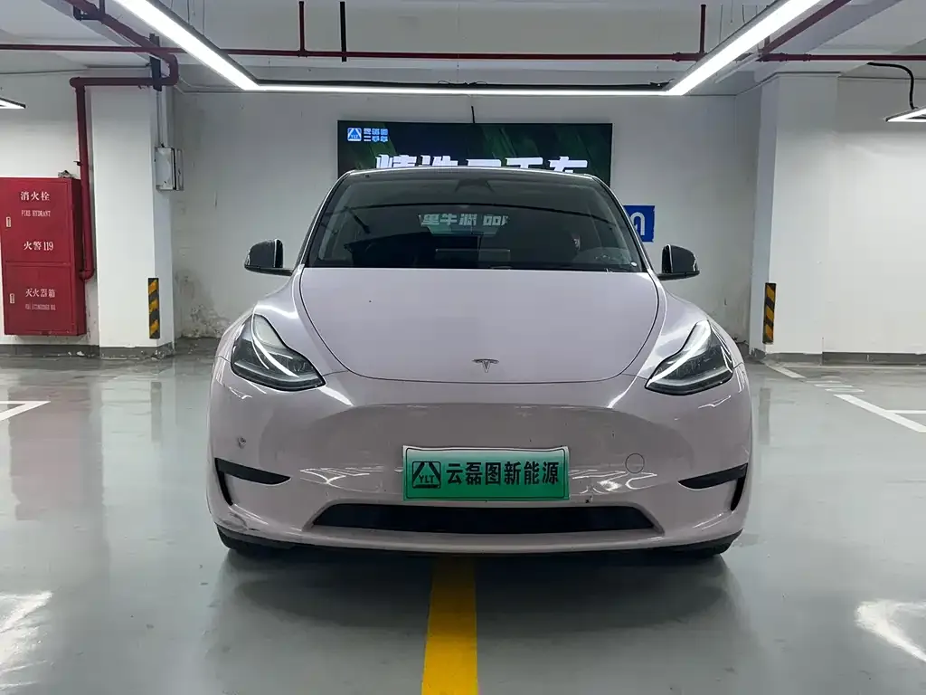 Tesla Model Y — фото 3