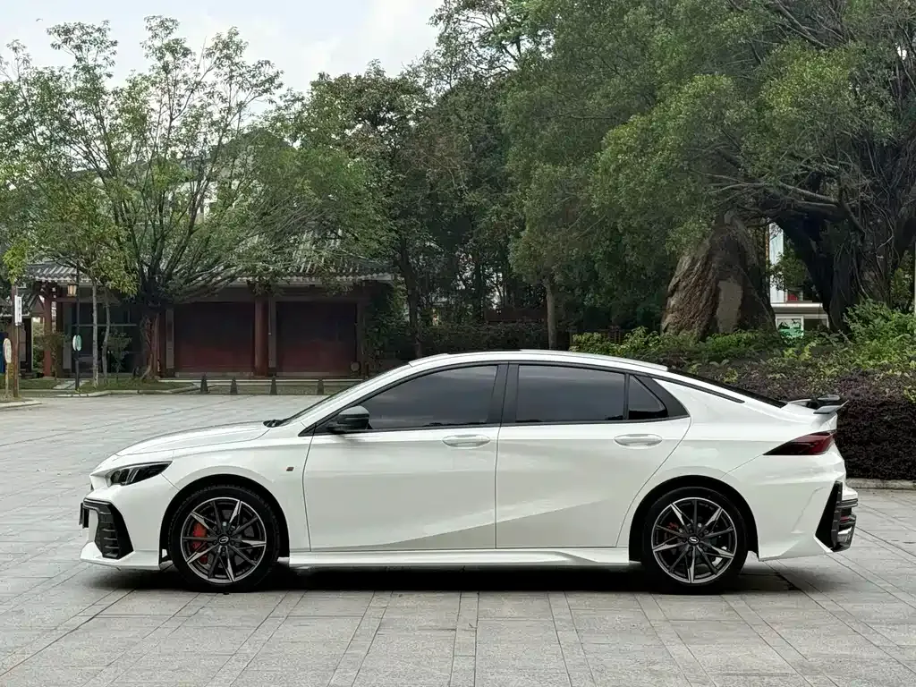 GAC Motor Shadow Leopard — фото 6