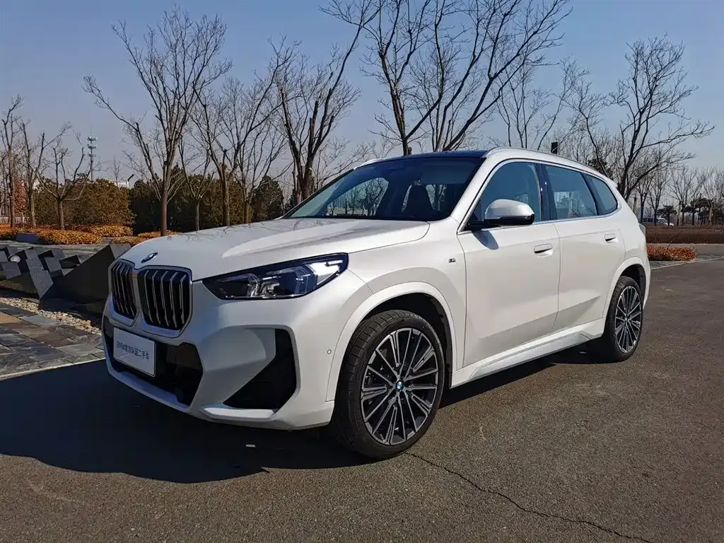 BMW X1 — фото 1