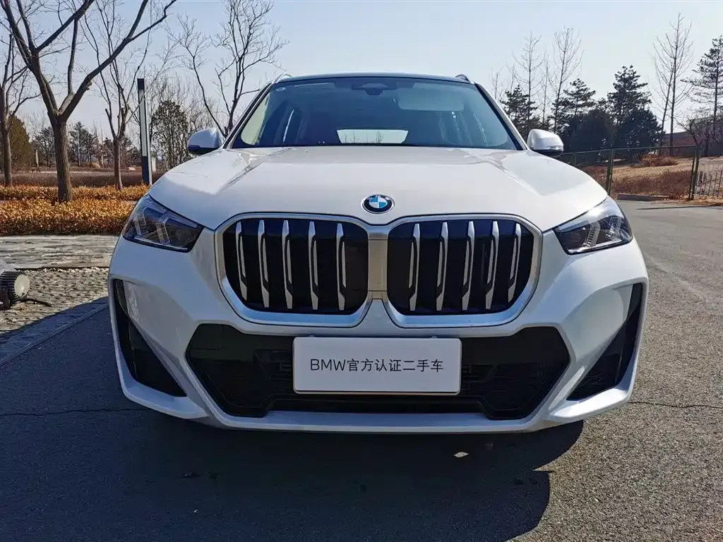 BMW X1 — фото 10
